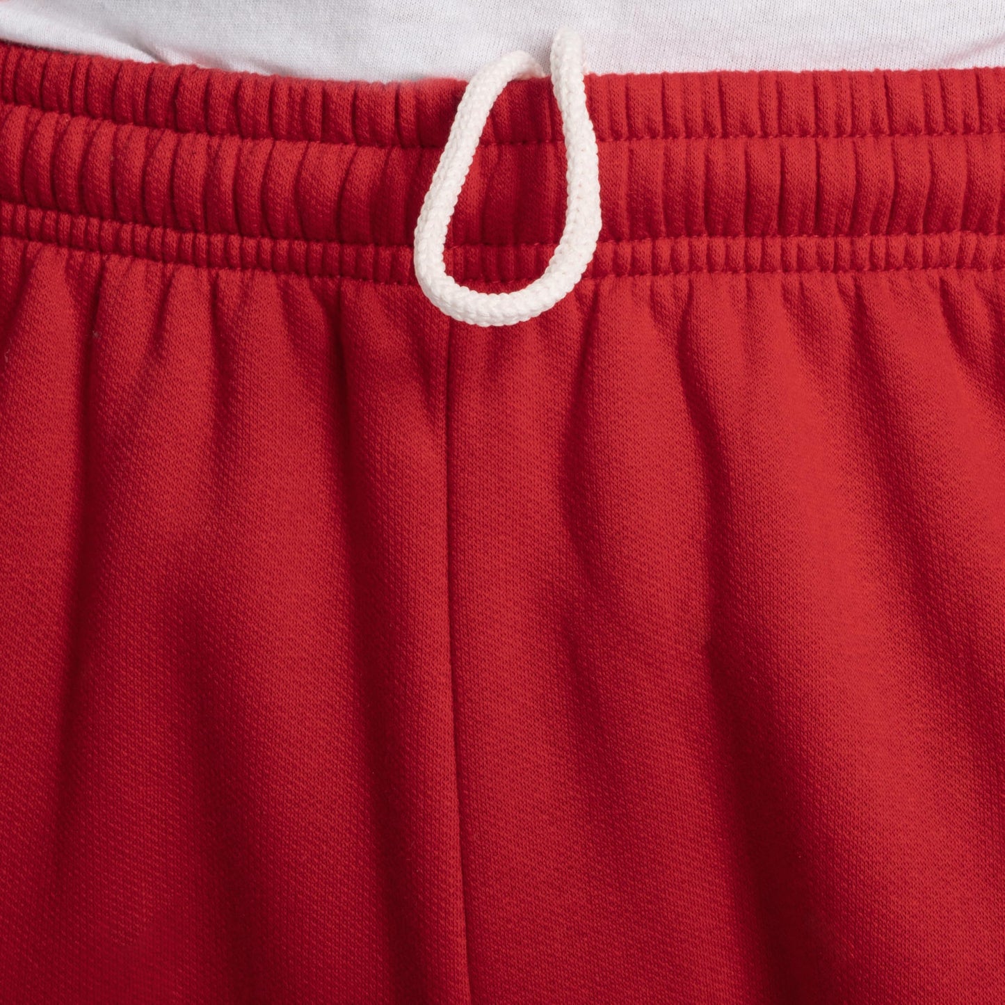 Fruit of the Loom mens Eversoft Fleece & Joggers (Regular Big Man) Sweatpants, Elastic Bottom - Red, Medium US