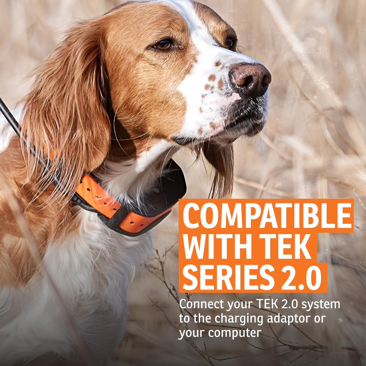 SportDOG TEK Series 2.0 USB Cables - Quality GPS Collar Charging Adaptor Cable - Quickly Connects to Computer or Adaptor for Convenient Use - Reliable USB Connection