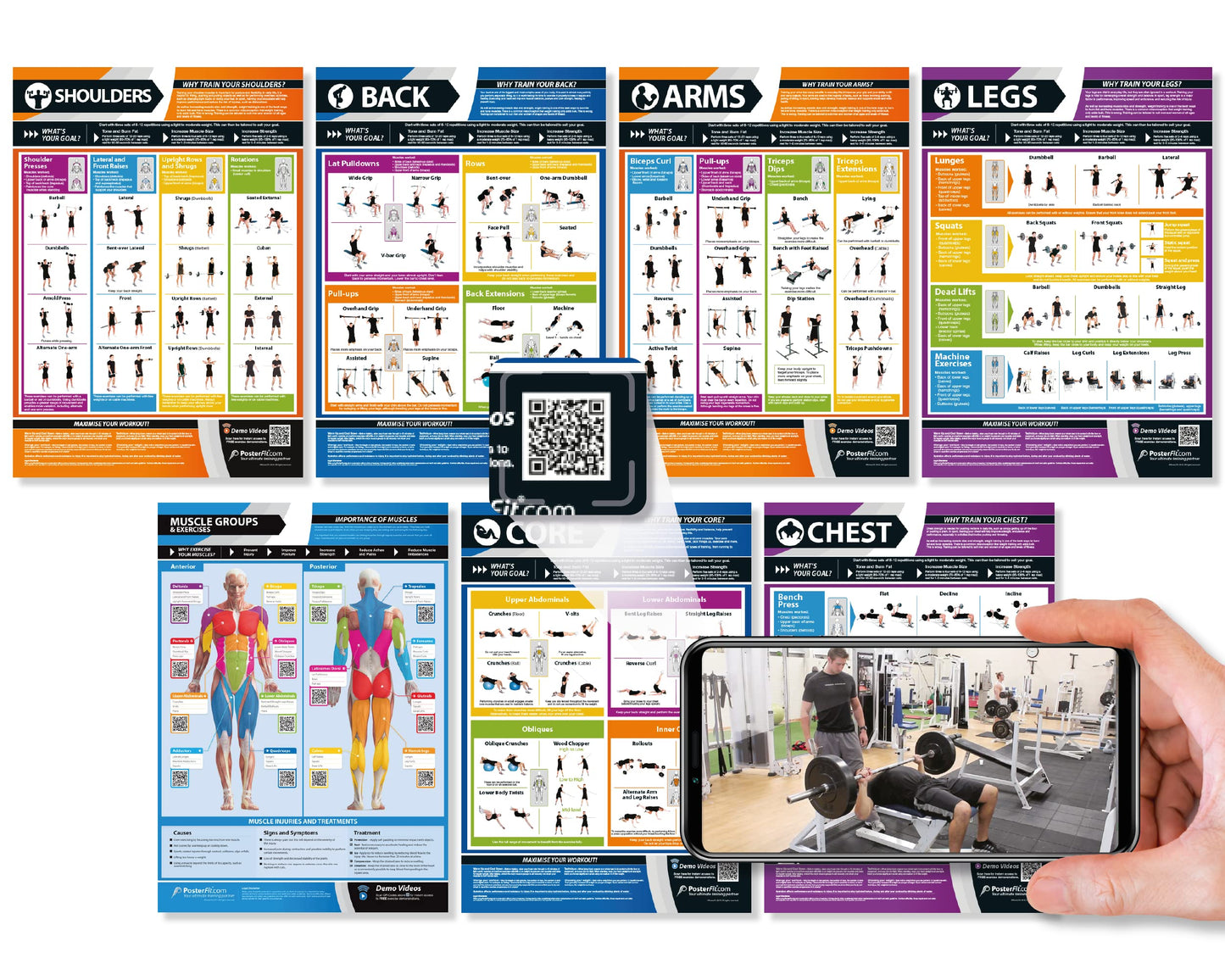 Gym Workout Posters - Set of 7 - Laminated - LARGE FORMAT 33" X 23.5" - Exercise Posters - Gym or Home Workout Charts - Includes Video Training Support