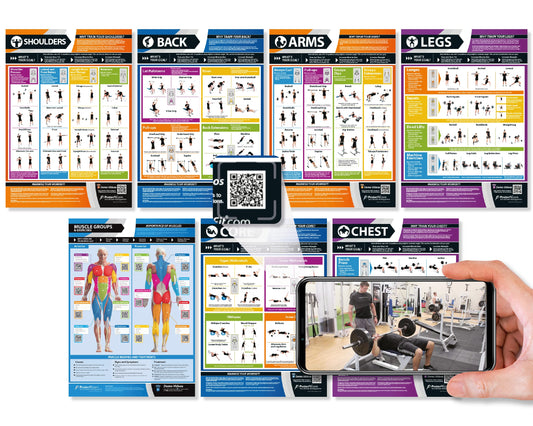 Gym Workout Posters - Set of 7 - Laminated - LARGE FORMAT 33" X 23.5" - Exercise Posters - Gym or Home Workout Charts - Includes Video Training Support