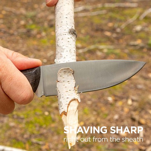 BPS Knives Set Adventurer and Savage - Set of two Carbon Steel Full Tang Knives with Leather Sheaths Scandi Grind Camping Bushcraft Knives