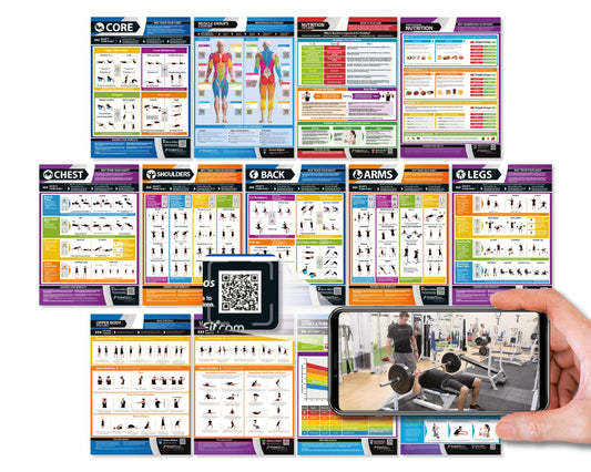 Workout Posters for Home Gym (Set of 13) - Large 24" x 16.5" - Muscle Group Gym Poster - FREE Video Training Support - Exercise Posters - Gym or Home Workout Chart