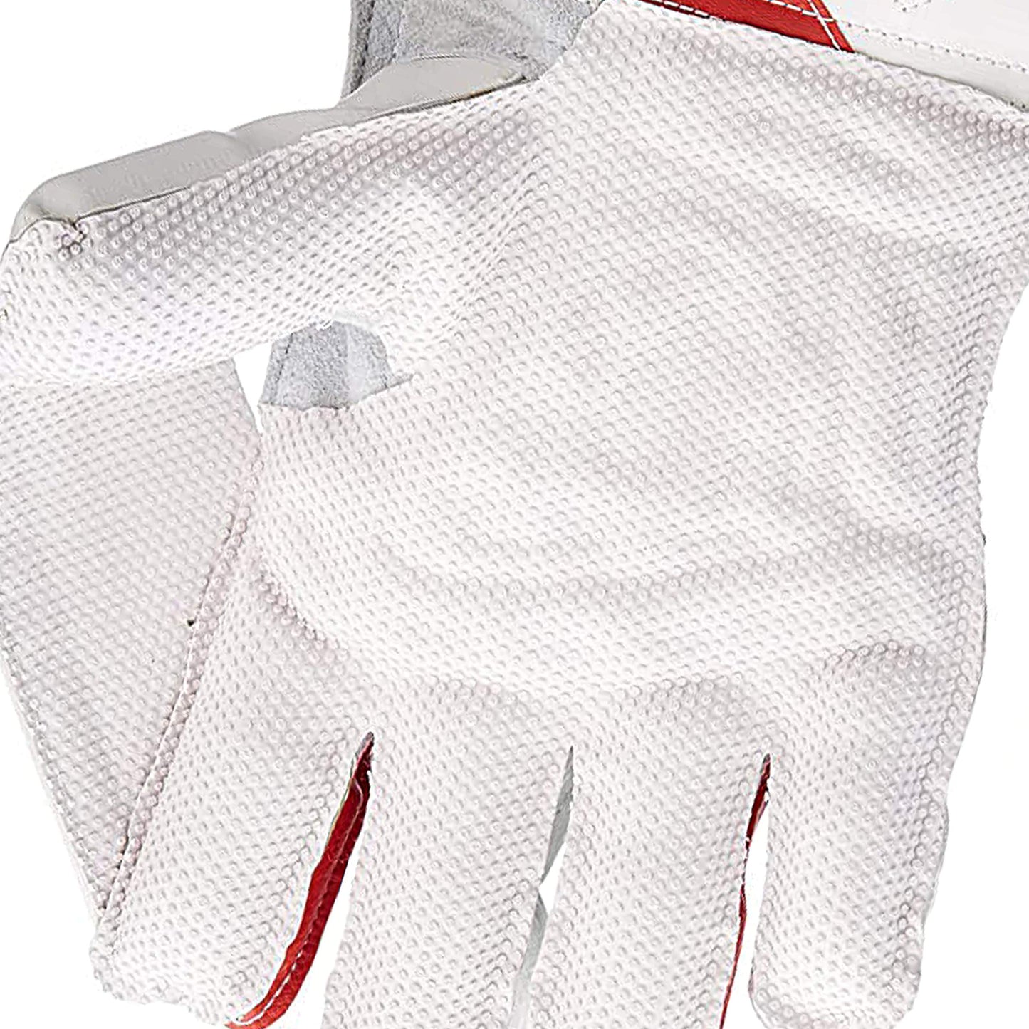 SG Wicket Keeping Gloves - RSD Prolite