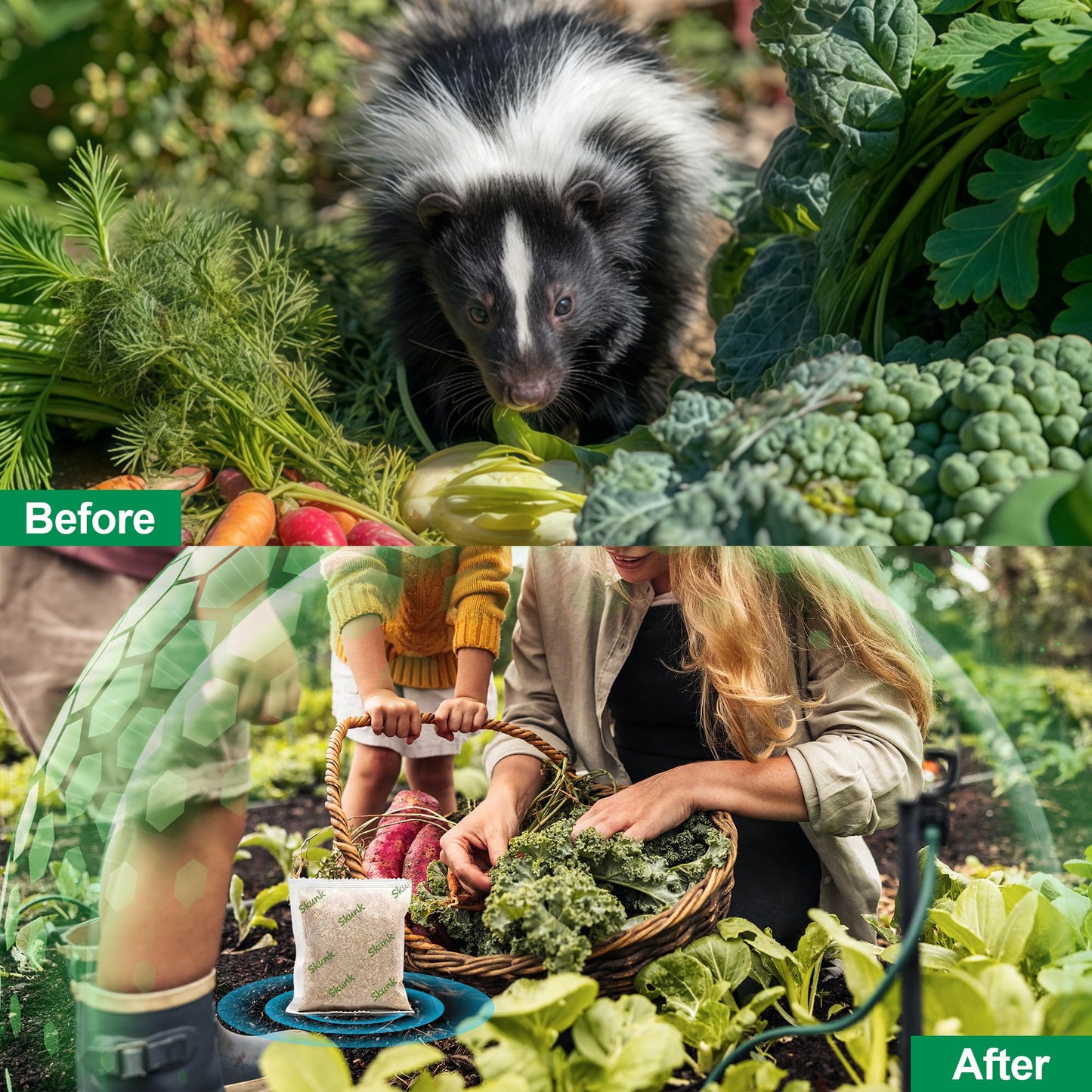 12 Pack Natural Skunk Pouches, Skunk Raccoon Repellent Pouches for Outdoor Yard Garden House | Long-Lasting Protection | Safe for Dogs and Children