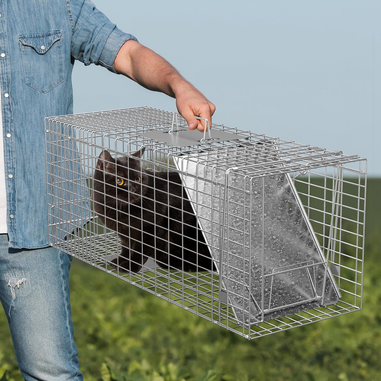 Nouva 32" Live Animal Cage Trap - Steel Large Folding Humane Cat Trap Raccoon Trap w/Handles for Rabbits, Stray Cats, Squirrels, Skunk, Groundhogs and Opossums