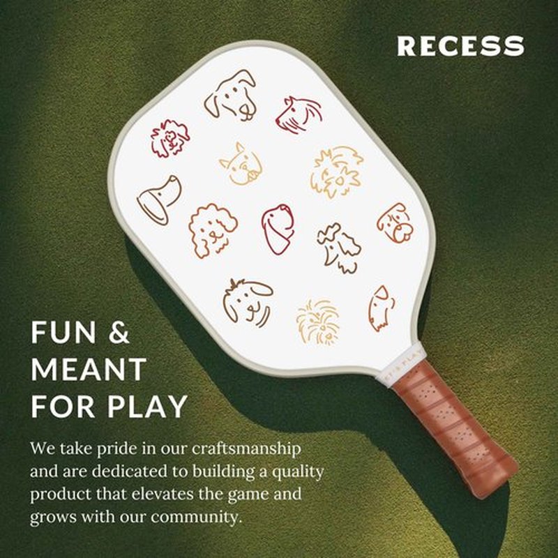 Recess Premium Pickleball Paddle, Rover - Strong & Durable Fiberglass Surface, Lightweight, Honeycomb Core & Comfort Grip Handles - Tournament or Casual Play, USAPA Approved