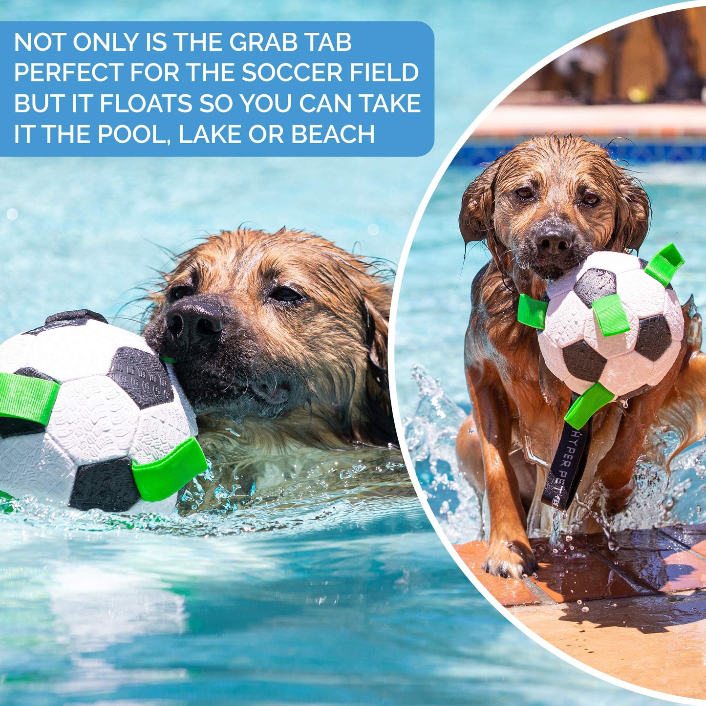 Hyper Pet Grab Tabs Dog Soccer Ball with Straps (7.5") Indoor or Outdoor; Interactive Durable Fetch Ball with Tug Toy for All Dog Breeds