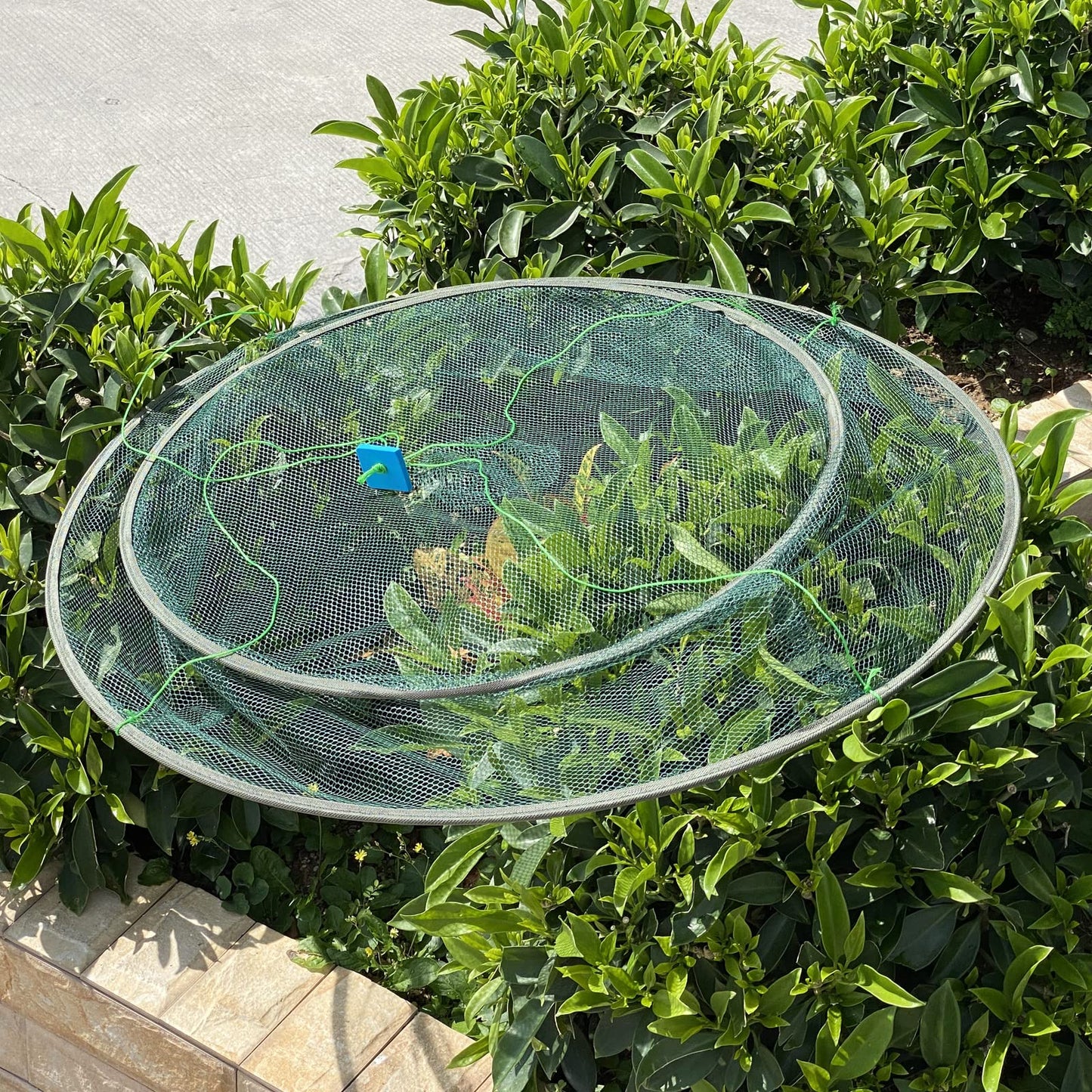 Crab Net,Crab Basket Crab Traps for Fishing,Portable Folded Fishing Net