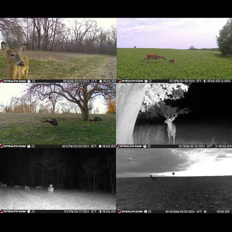 Stealth Cam Revolver 36MP 360 Degree Cellular Trail Camera with 1/4-Inch Threaded Mount Bundle with Economy Trail Camera Holder, 32GB Ultra SDHC Memory Card, and SD USB 2.0 Card Reader (4 Items)