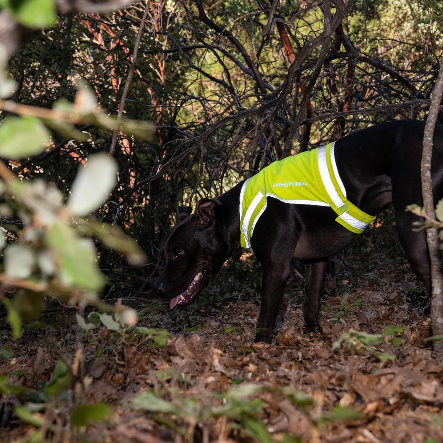SafetyPUP Dog Vest - Reflective Hi-Visibility Fluorescent Yellow for Safety | Mid Back Coverage