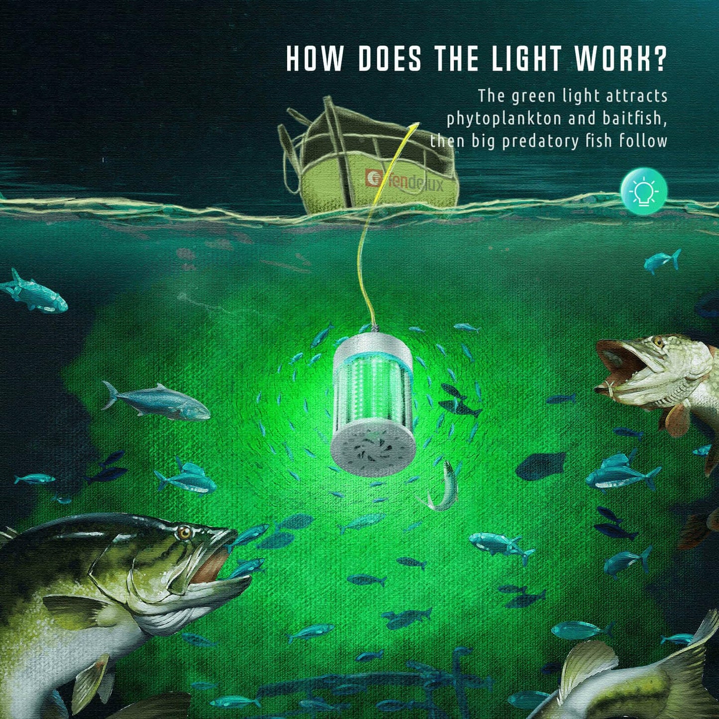 Tendelux Ultra-Bright Underwater Fishing Light with Controller, 110V & 12V Green LED Submersible Light Attractants for Docks, Boats or Kayaks, IP68 Rated for Fresh & Salt Water (30ft Cable)