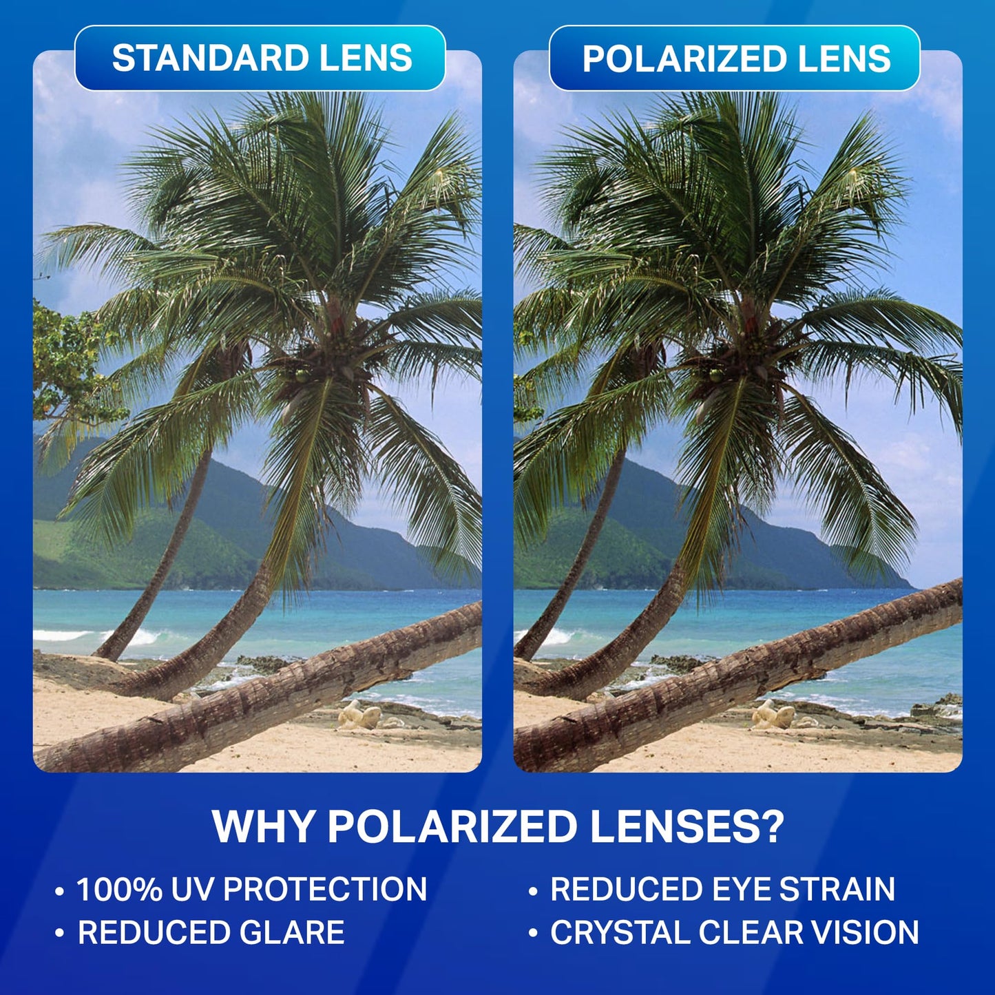 Blenders Eyewear Canyon – Polarized Sunglasses – Active Style, Durable Frame – 100% UV Protection – For Men – Black Tundra