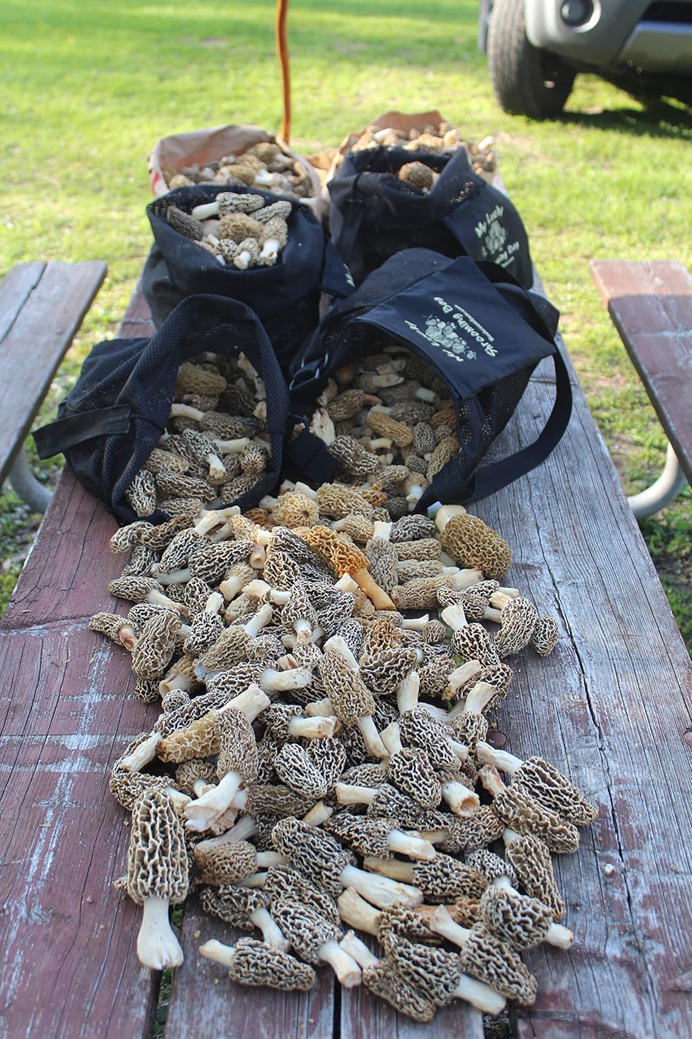 Morel Mushroom Hunting Bag - Durable, Lightweight Design | Made in USA