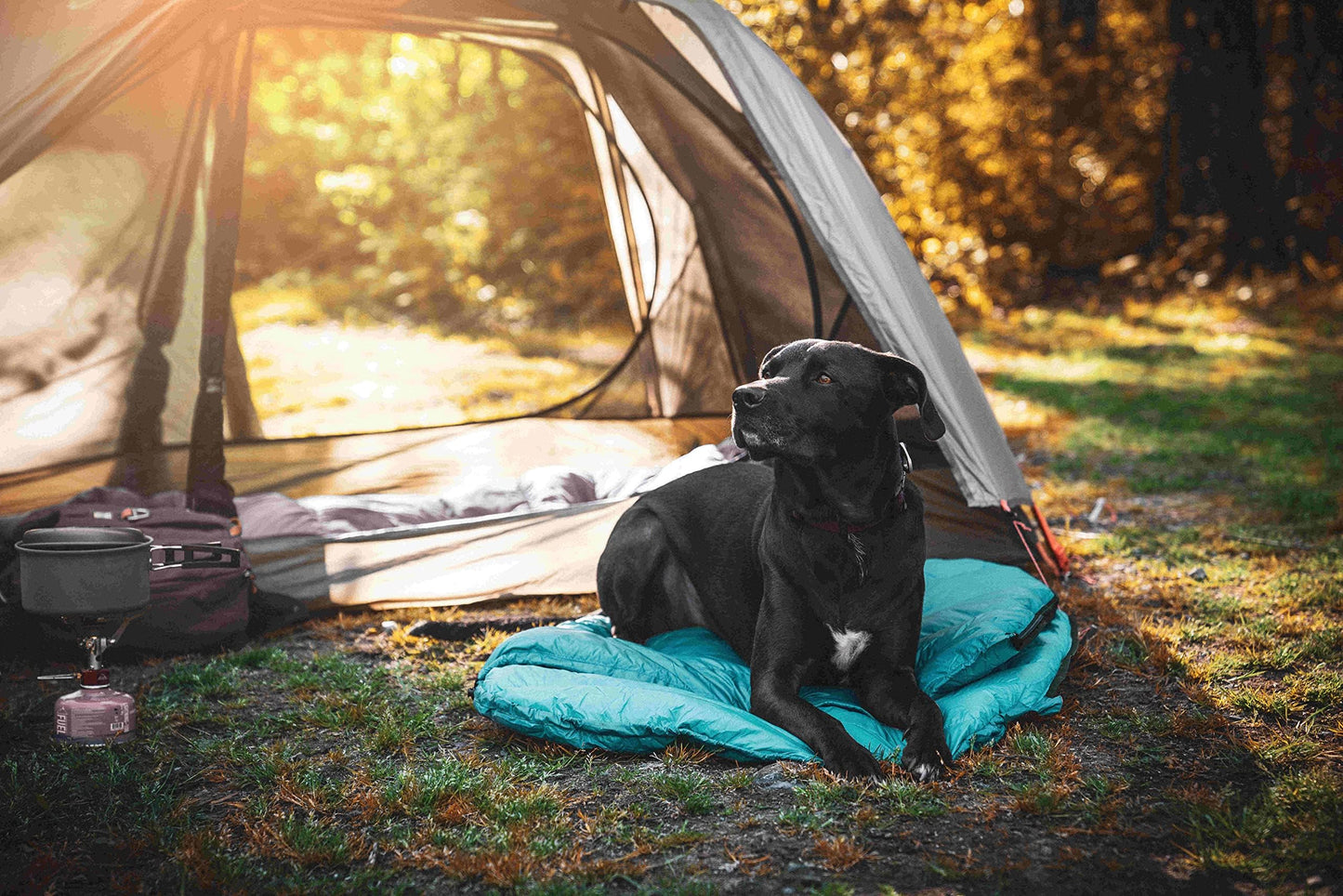 Ultralight Dog Sleeping Bag Backpacking—Outdoor Dog Bed for Hiking—Backpacking Gear for Dogs—Dog Hiking Gear—Dog Camping Gear—Packable Sleeping Bag for Dogs—Dog Travel Bed (Large)