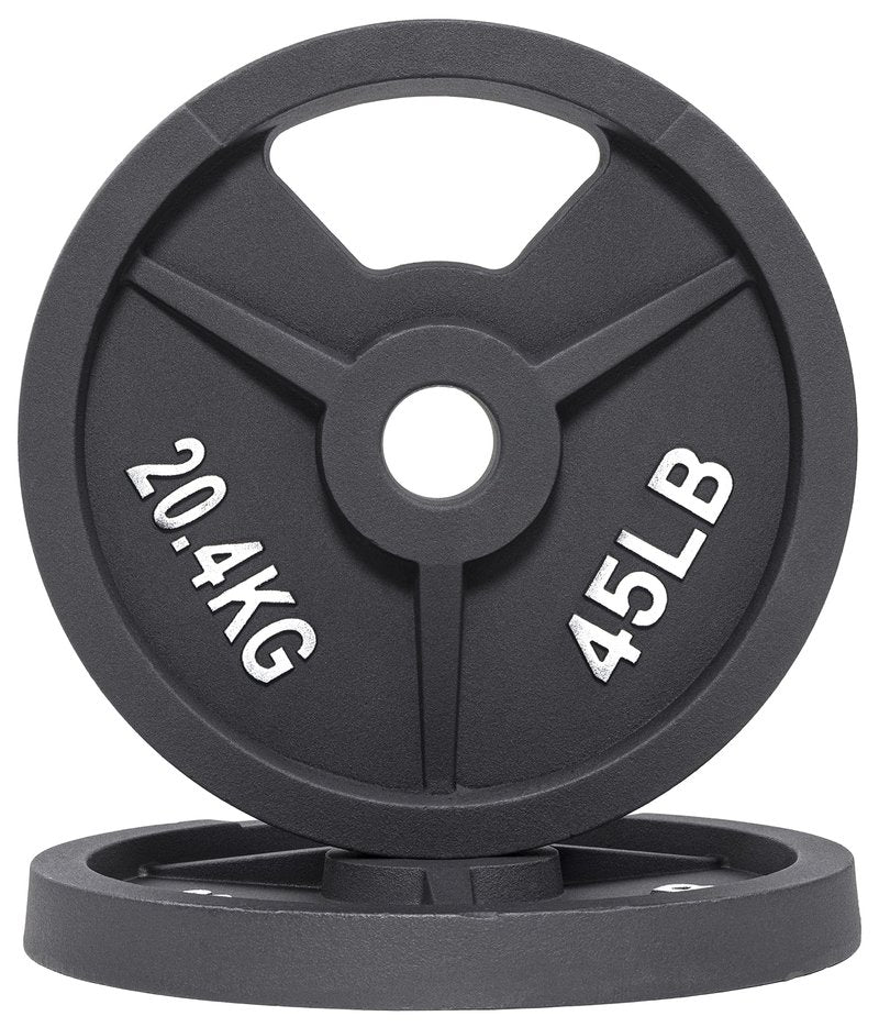 Fitvids Standard Cast Iron 1-Inch Weight Plate for Strength Training & Weightlifting, 5LB Pair