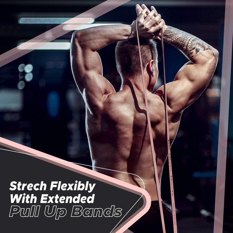 Physix Gear Workout Bands for Pullups Set, Pull Up Resistance Bands Set, Long Bands for Workout and Exercise Bands Pull Ups, Pull Ups Resistance Bands, Calisthenics, Pink (1 Band), 82in (208cm)