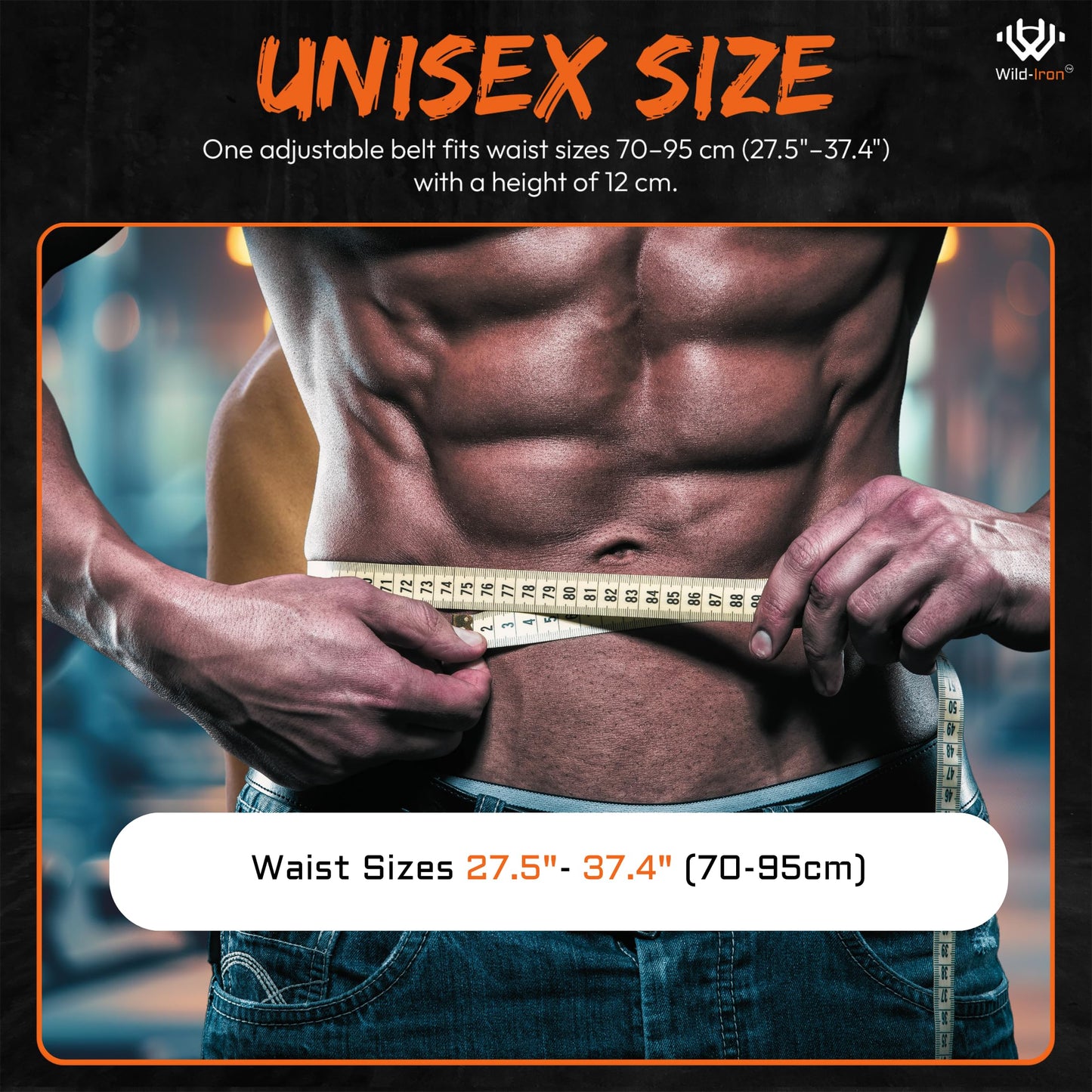 Wild-Iron Weight Lifting Belt – 2-in-1 Dip Belt with Weighted Belt, Chain – Heavy-Duty Dip Belt for Weight Lifting, Squats, Pull-Ups, Deadlifts – Quick- Release Back and Lumbar Support Belt