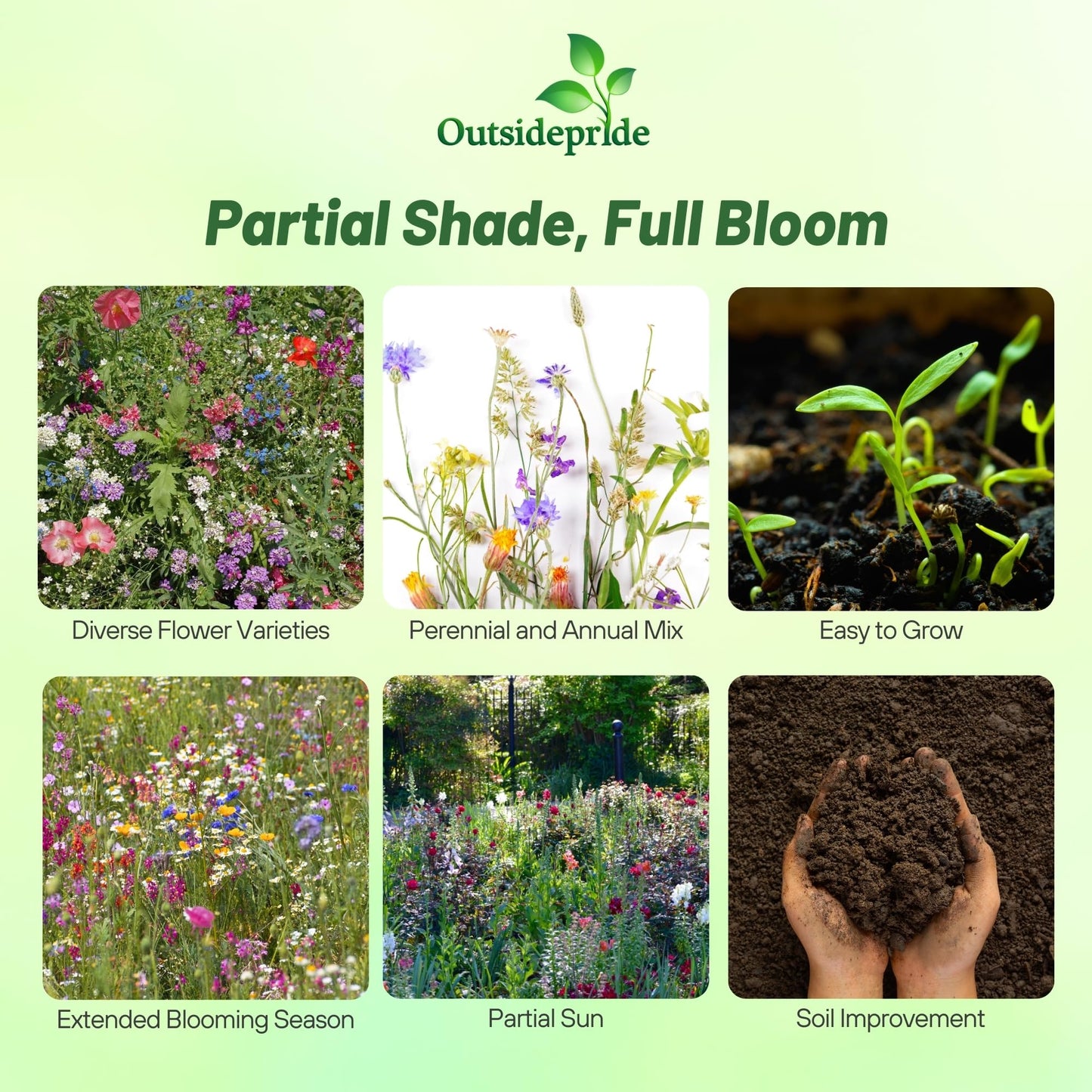 Outsidepride Partial Shade Wild Flower Seed Mix for All States - 1 lb. Premium Blend of Annual & Perennial Wildflowers, Perfect for Partial Shade Areas, & Outdoor Planting for Gardens & Lawns