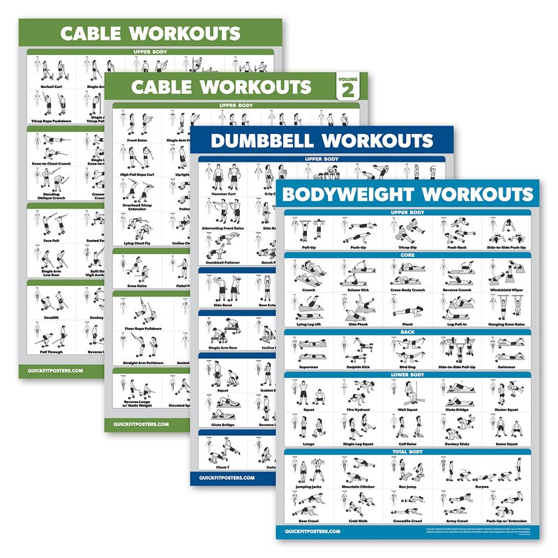 Palace Learning 4 Pack - Cable Machine Workout Posters Volume 1 & Volume 2 + Dumbbell Exercises + Bodyweight Exercises (LAMINATED, 18" x 24")