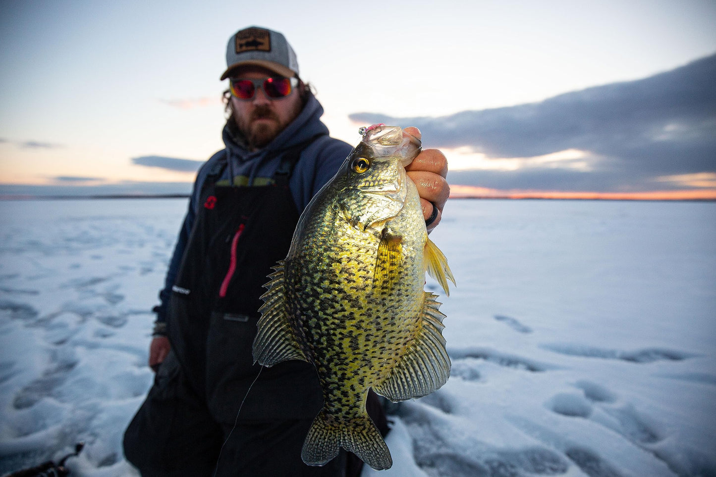 Northland Fishing Tackle Tungsten Flat Fry Panfish Jig for Ice Fishing & Fishing Crappie, Perch, & Bluegill, Glo White, 1/16 Oz Jig Head