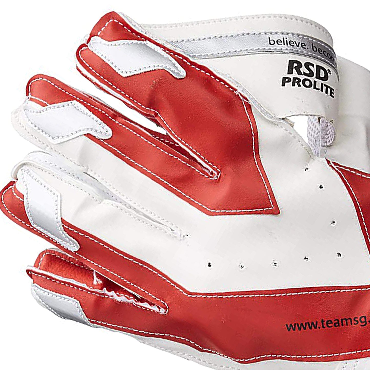 SG Wicket Keeping Gloves - RSD Prolite