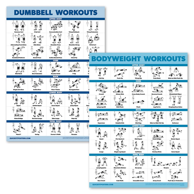 Palace Learning 2 Pack Dumbbell Workouts and Bodyweight Exercise Poster Set - Laminated 2 Chart Set - Dumbbell Exercise Routine & Body Weight Workouts [LIGHT] (LAMINATED, 18” x 24”)