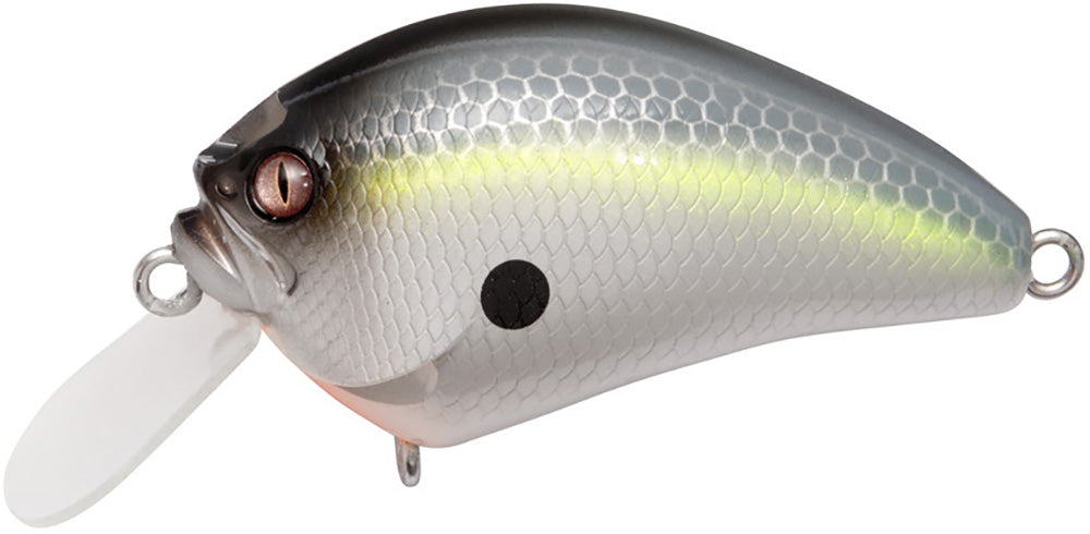 Shallow Crankbait 2 Inch - High-Performance Fishing Lure for Freshwater & Saltwater