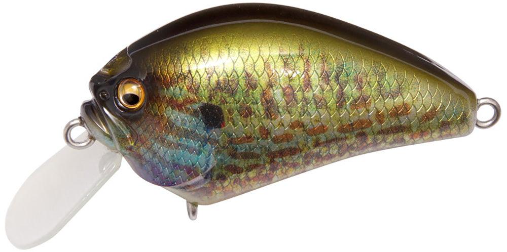 Shallow Crankbait 2 Inch - High-Performance Fishing Lure for Freshwater & Saltwater