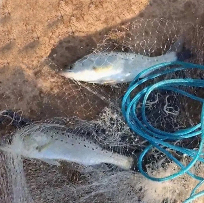 Fishing Cast Net for Bait - Multiple Sizes, Easy Throw Nylon Mesh
