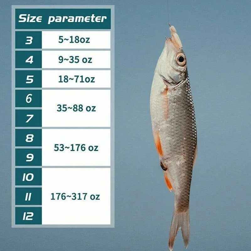 Fishing Hooks Set - Offset Circle High Carbon Steel, Multiple Sizes & Quantity