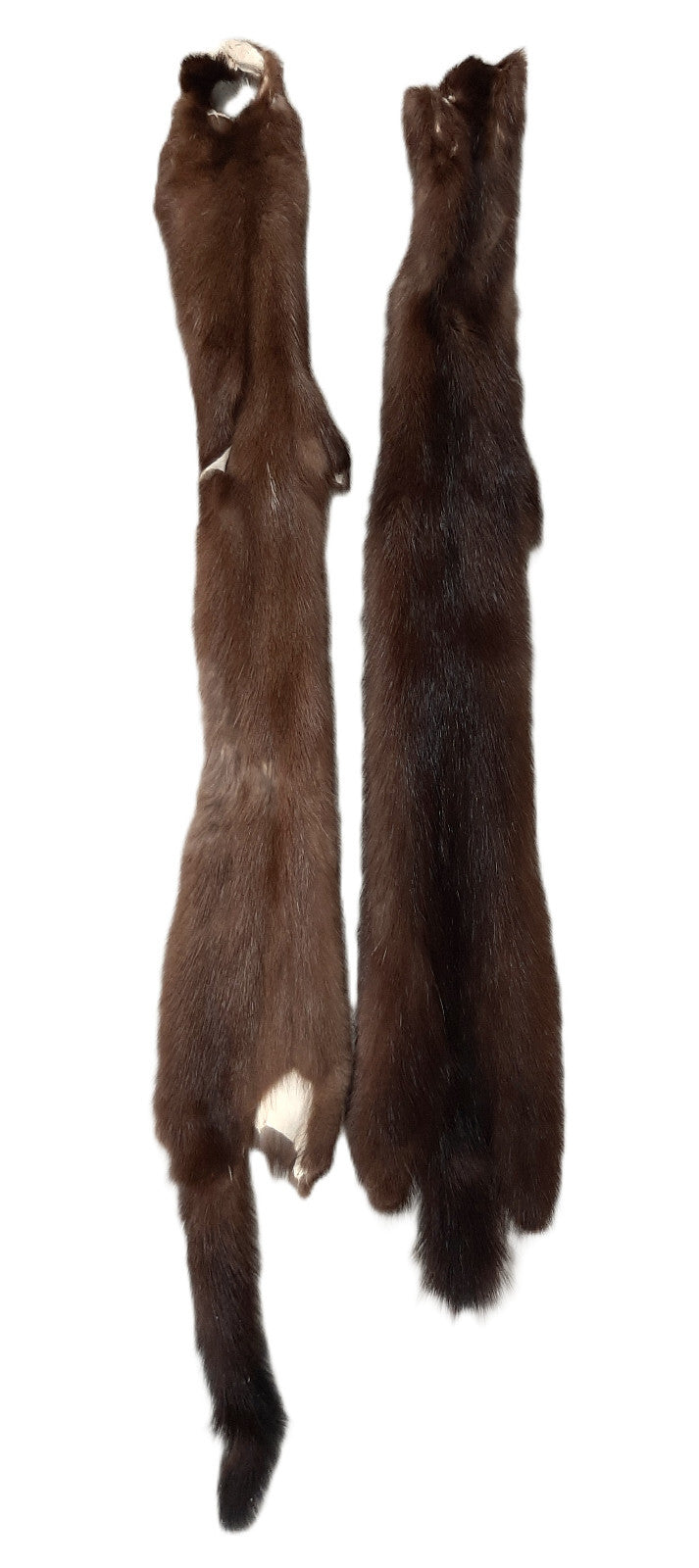 Female Wild Mink Pelt - Soft, Tanned Fur with Multiple Grade Options