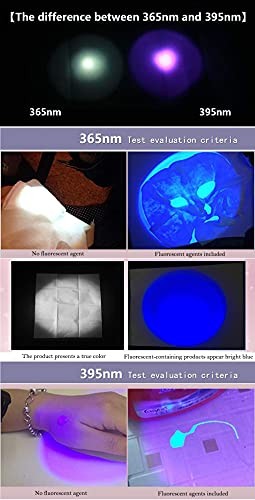 UV Blacklight 365nm & 395nm Handheld Flashlight for Stain Detection & Security