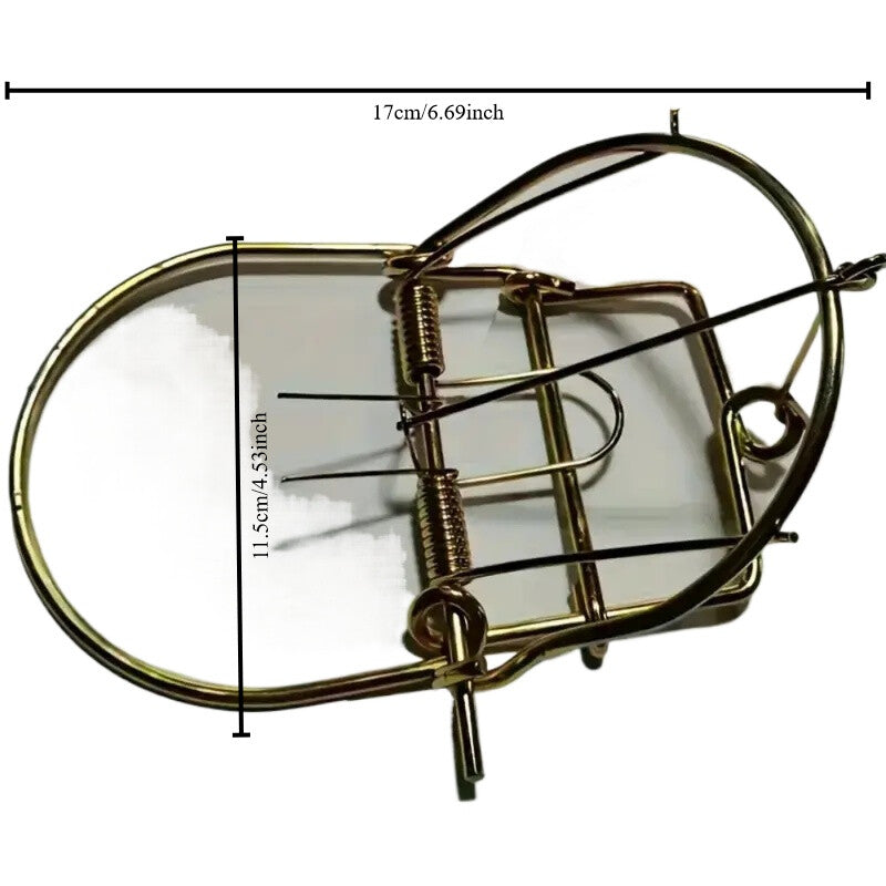 2pcs Heavy Duty Mouse Trap Set - Strong Spring Snap Rat Catcher