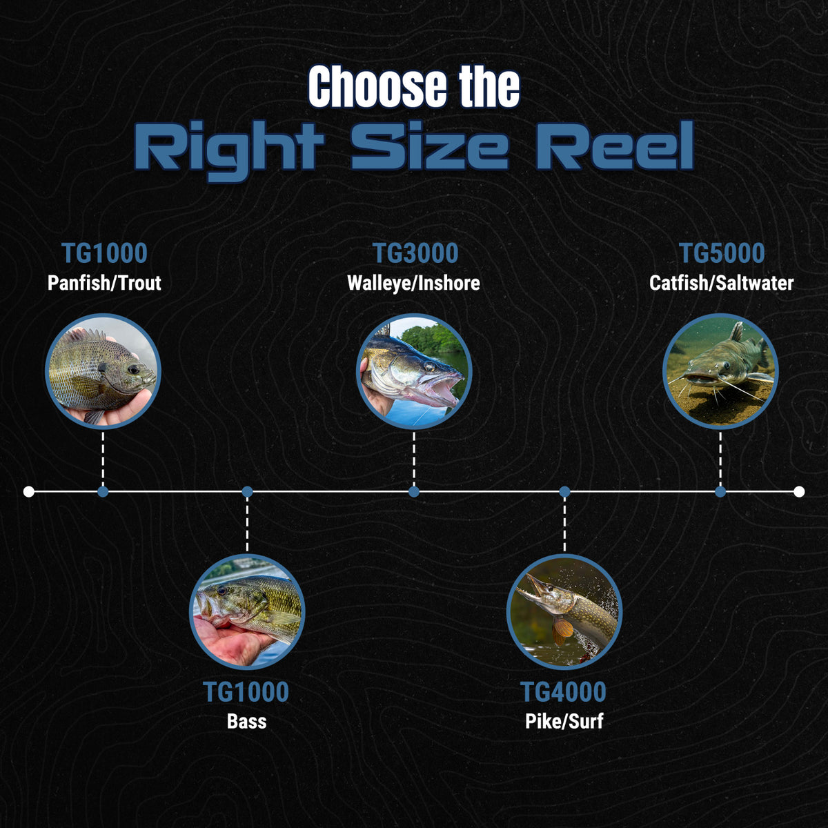 High-Performance Spinning Fishing Reels for Freshwater & Saltwater