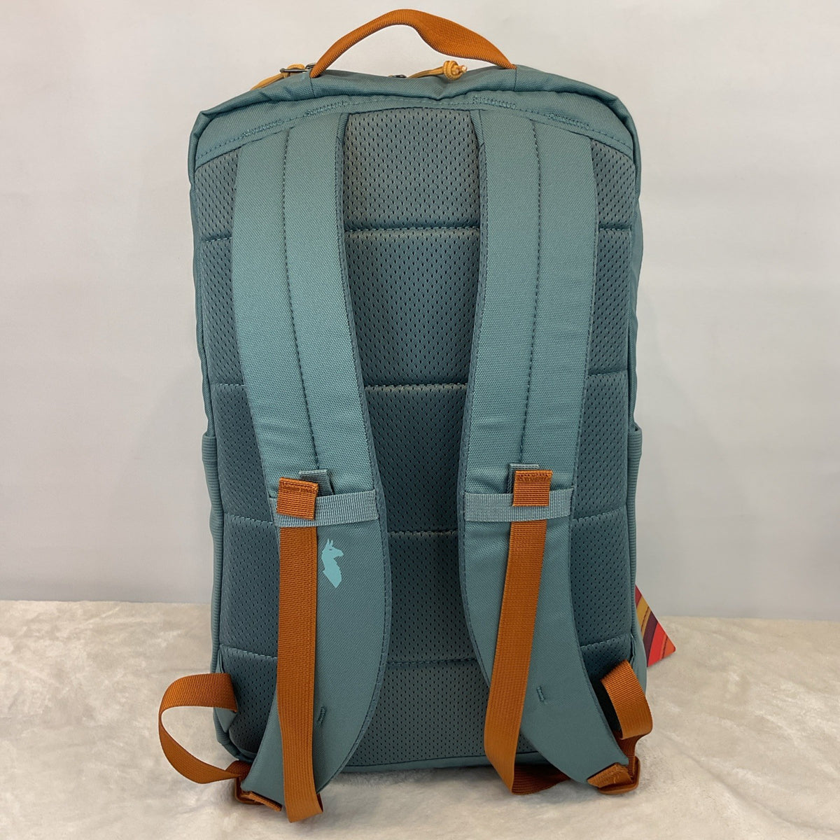 Cotopaxi Tasra 16L Lightweight Travel Backpack - Everglade Daypack