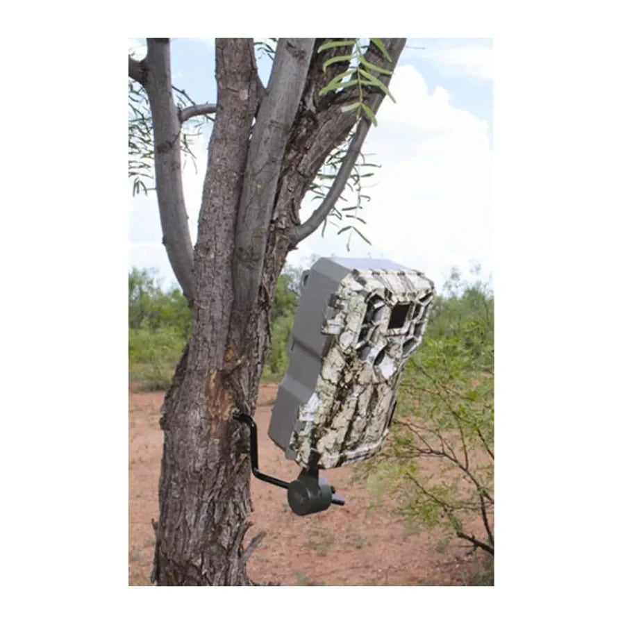 Adjustable Tree Mount for Trail Cameras - Steel 3 Pack