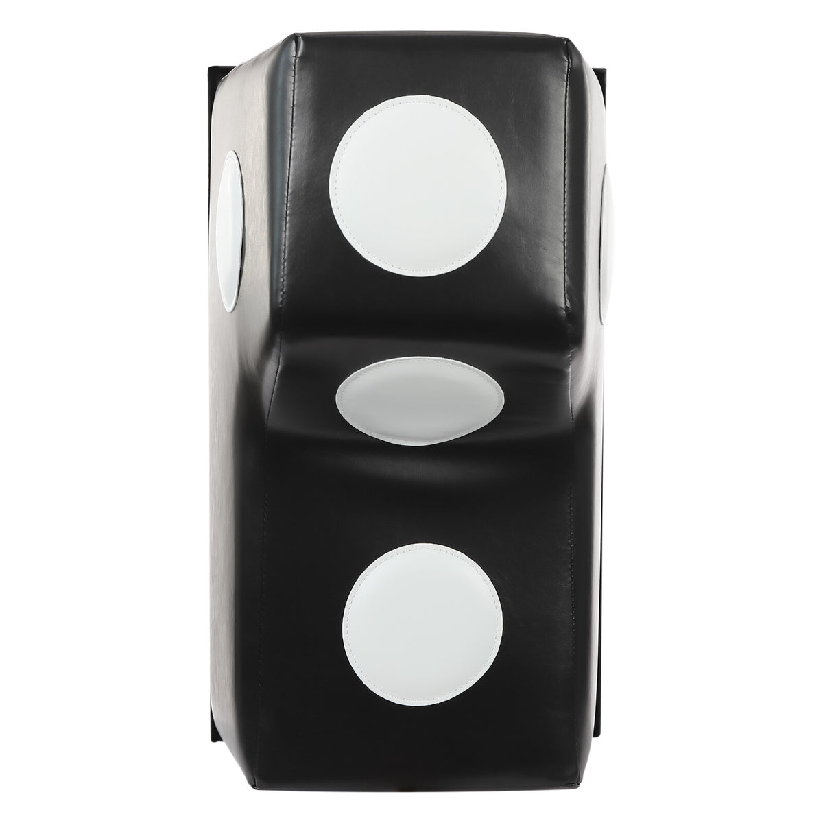 Wall Mount Boxing Punching Bag for Training & Fitness