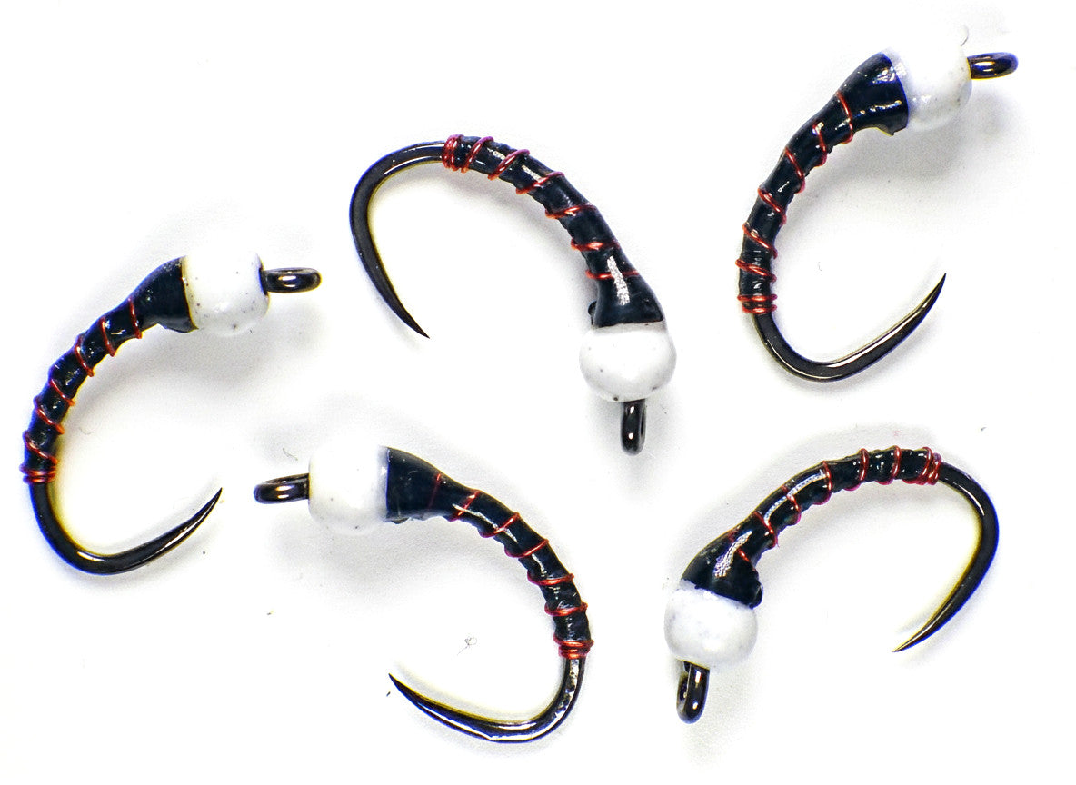 Premium Trout Fly Fishing Flies - Czech Barbless Tungsten Nymphs - Multiple Sizes