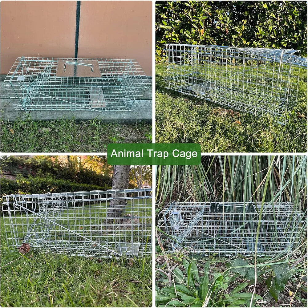24-Inch Humane Live Animal Trap Cage for Small Animals, Raccoons, Foxes