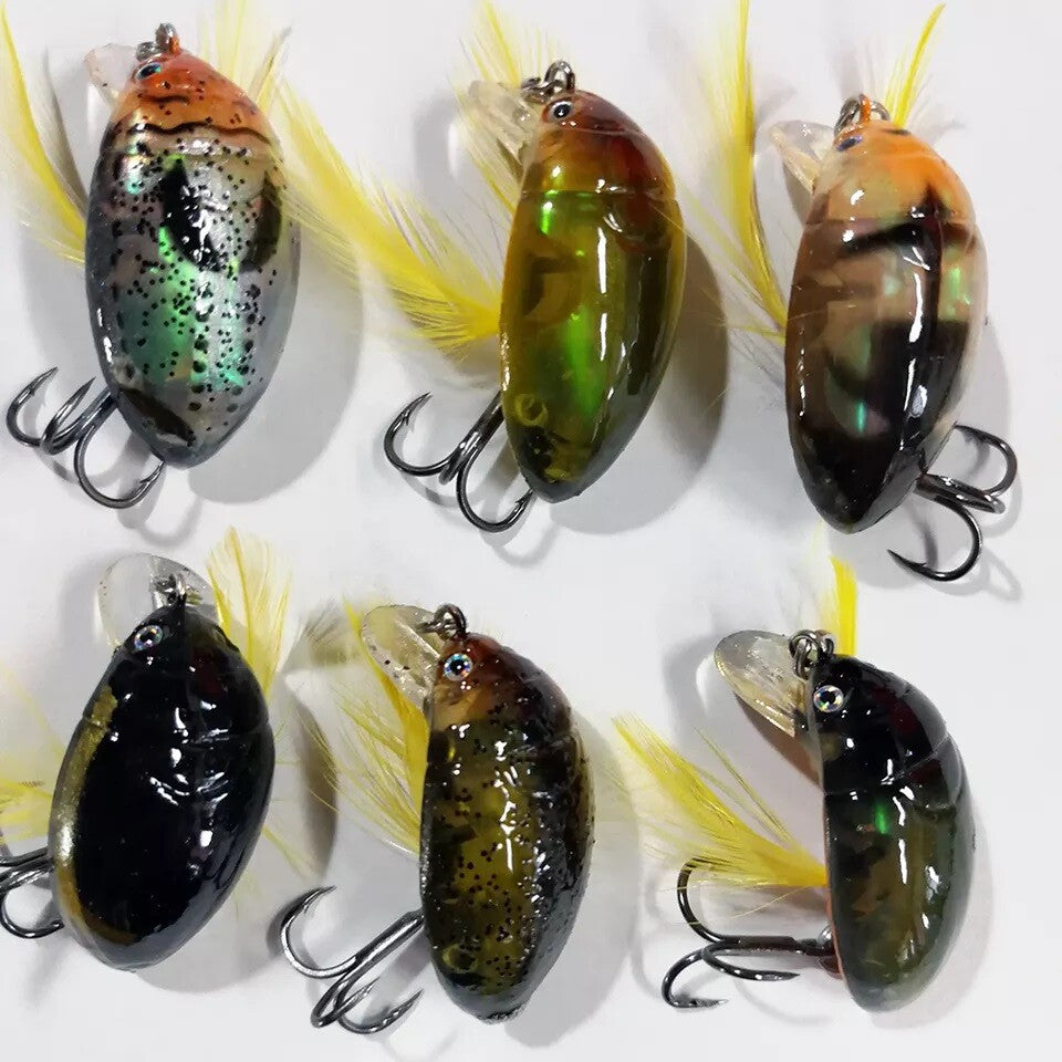 Floating Beetle Bug Fishing Lures Set - 6 Color Options, Water Surface Bait