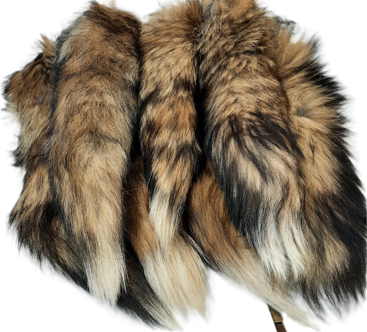 Genuine Red Fox Tail 13-17 Inches Tanned for Crafting, Costume & Decor