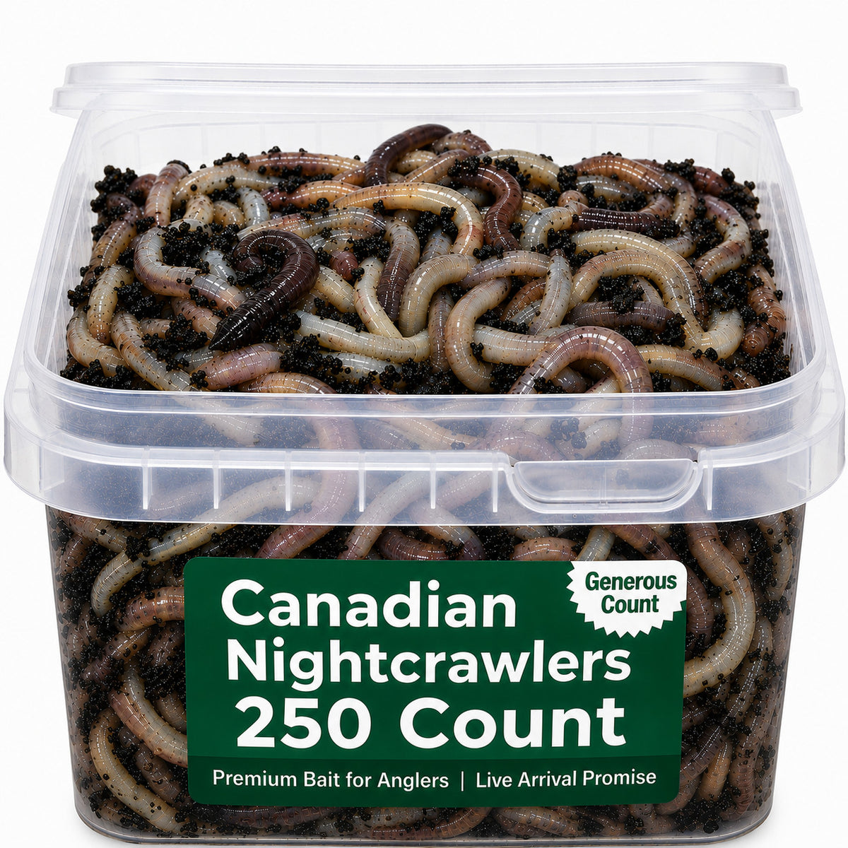 Canadian Nightcrawlers Live Bait - Multiple Sizes & Count Options for Fishing & Reptiles