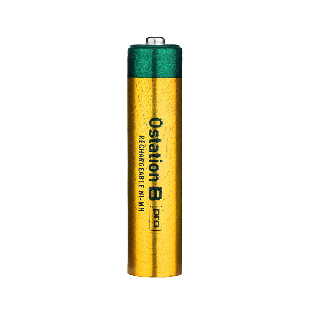 High Capacity AAA Rechargeable Ni-MH Batteries 950mAh 12-Pack