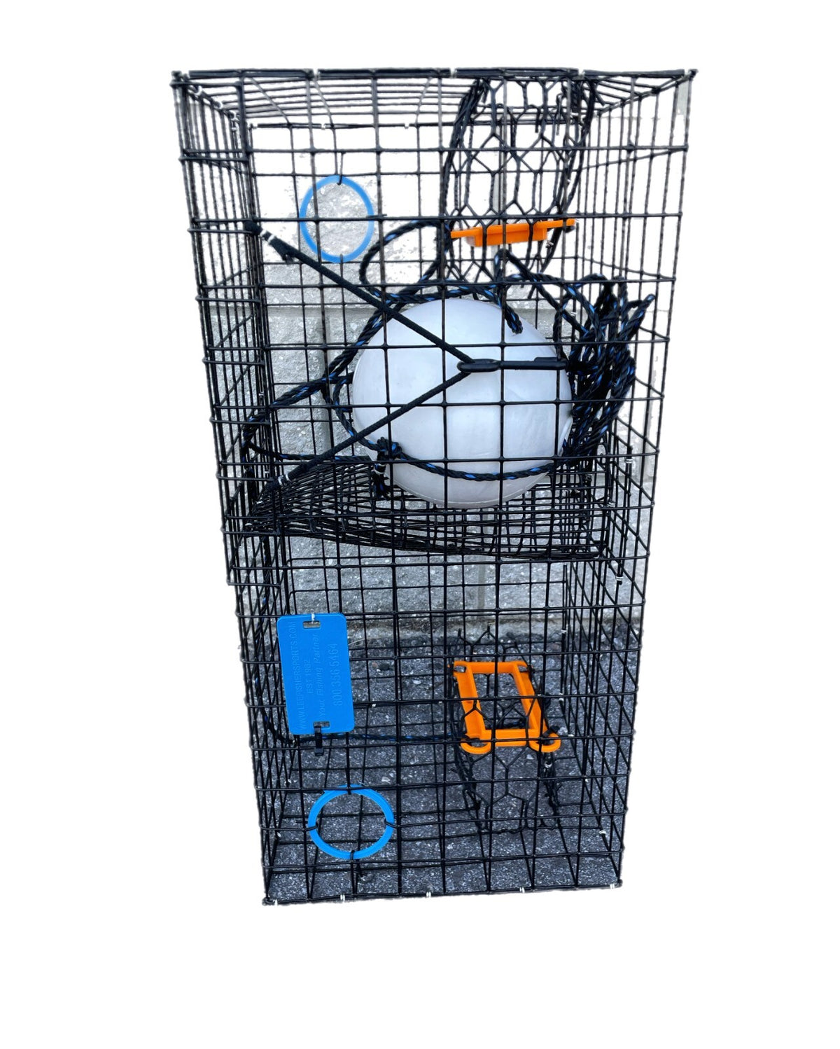 Maryland Crab Trap with Escape Rings - Blue Crab Fishing Pot