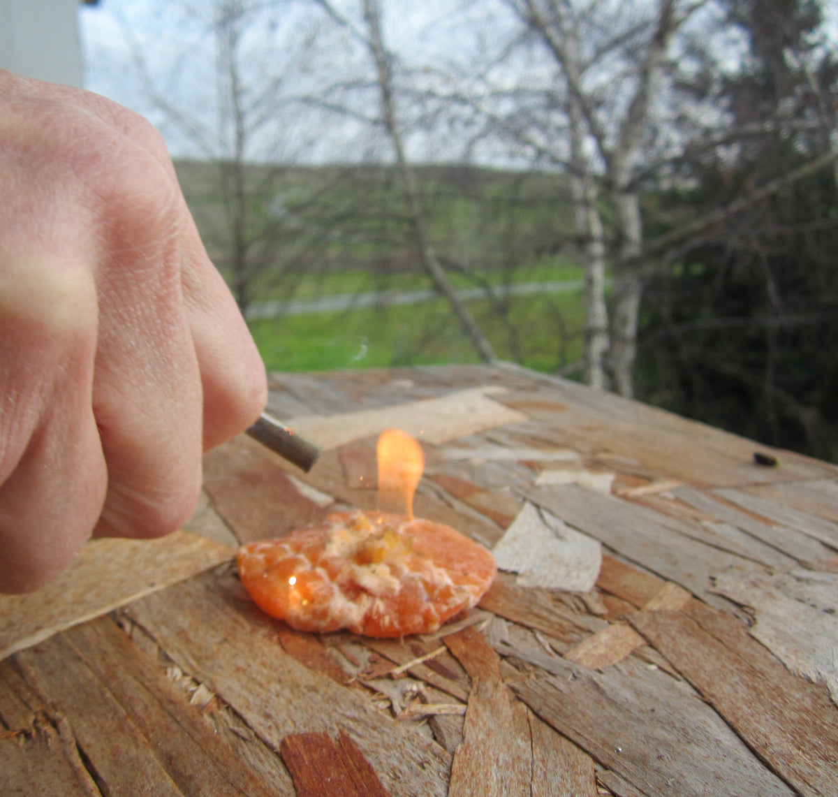 All Weather Fire Starter Wafers with Matches for Camping Survival