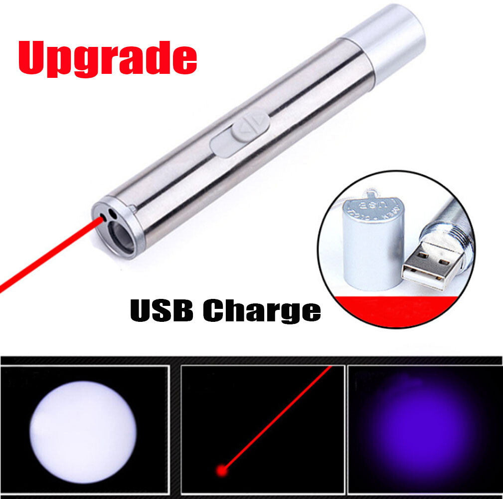 2PCS USB Rechargeable Laser Pointer Pen for Pets and Presentations