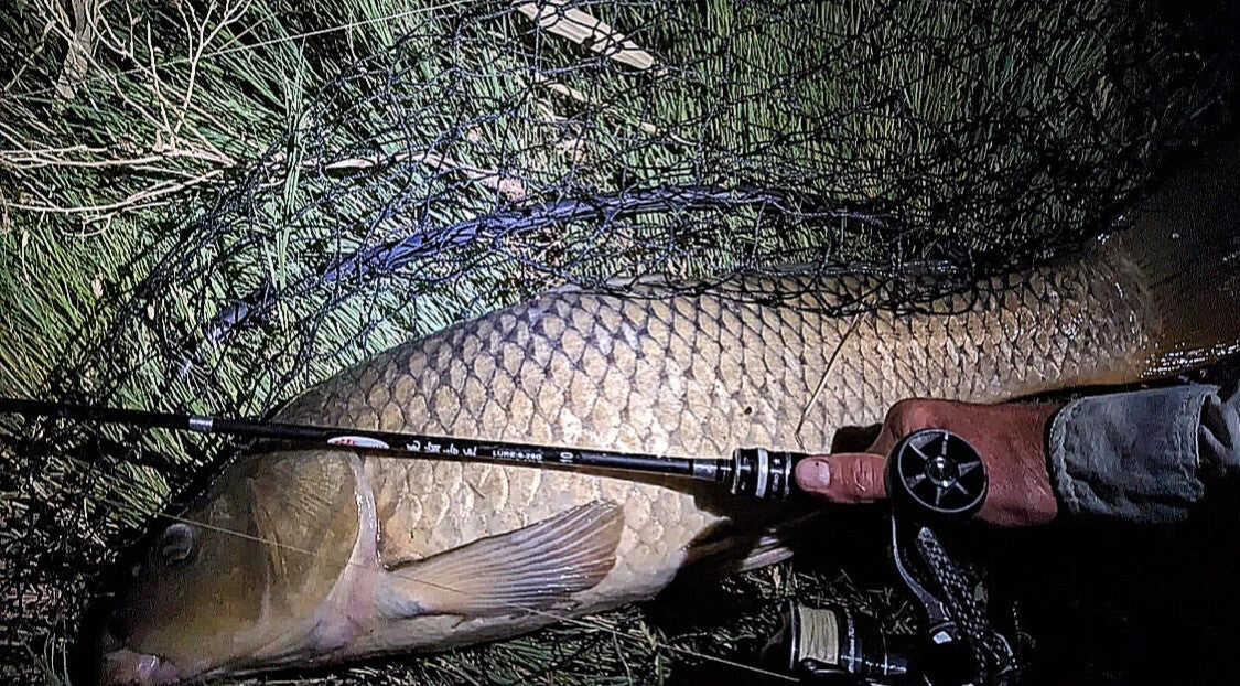 Lightweight Carbon Fiber Spinning Fishing Rods - Medium Fast Action, 7ft & 8ft Options
