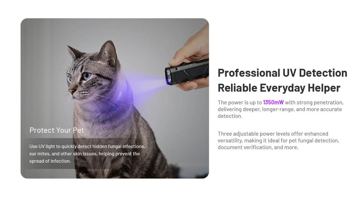 Rechargeable LED Flashlight with UV and Laser Pointer - 1500 Lumens
