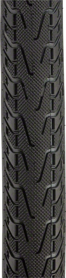 Panaracer Pasela ProTite 650c x 28 Clincher Bicycle Tires Pack of 2
