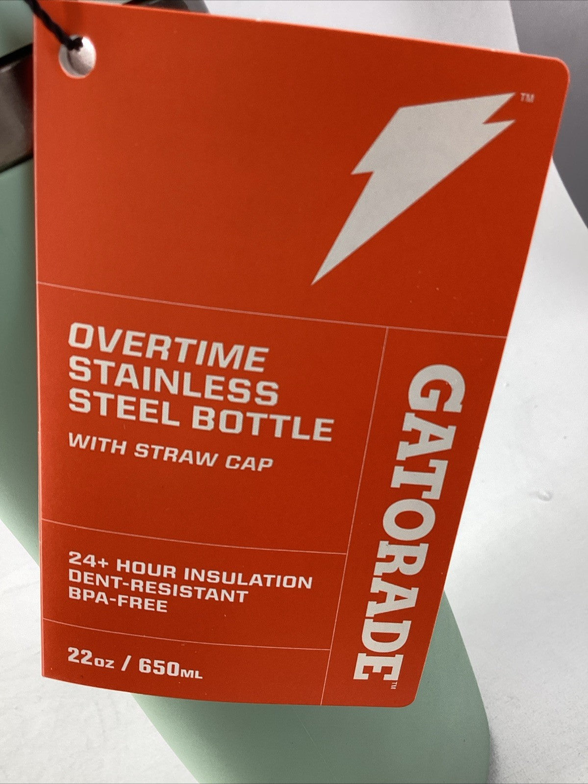 22oz Stainless Steel Sports Water Bottle with Straw Cap - Sage